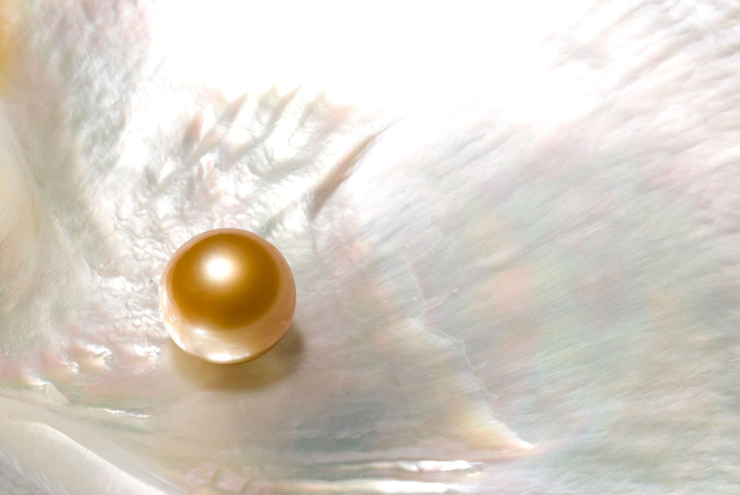 Golden sea pearl clearance